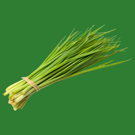Footer_Images_3