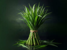 Organic Napier Grass – Fresh Green Fodder- 1 Ton